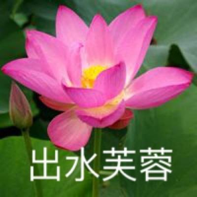 蜀山牧云传游戏下载